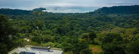 Why Dominical Is One of Costa Rica's Best Locations for Luxury Living